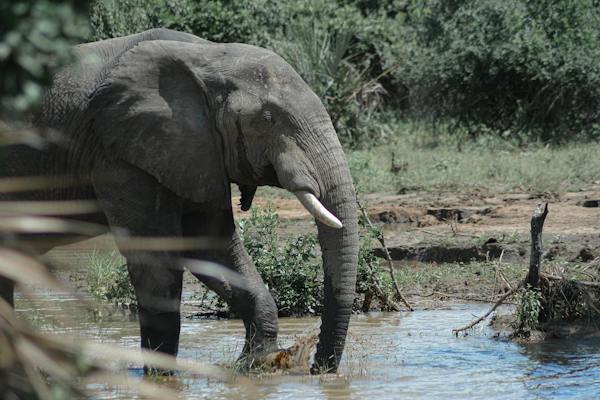 Quiz sobre Malawi: ¿Cuánto sabes sobre este país africano?